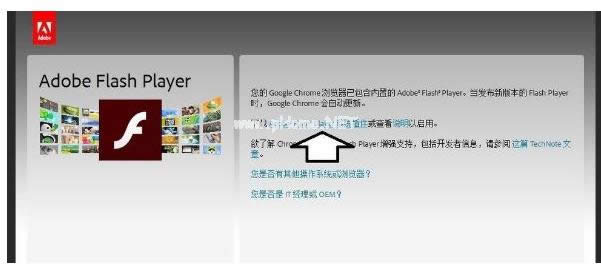 �_���Z(y��)��