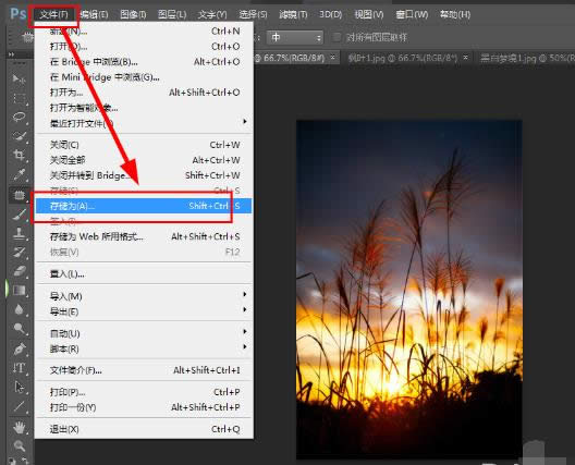 內(nèi)存 內(nèi)存