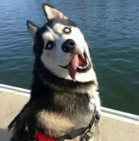 �Pӛ���P(gu��n)�C