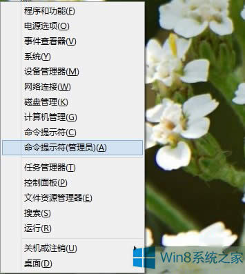 Win8.1ϵ�y(t��ng)����c���_ʼ���o�]�з�����ô�k��