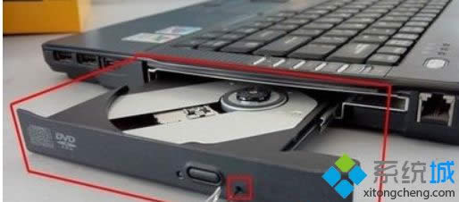 �{���{�����