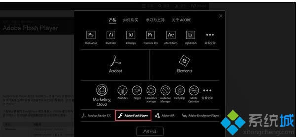 win8ϵ�y���Fshockwave flash�����Ľ�Q����