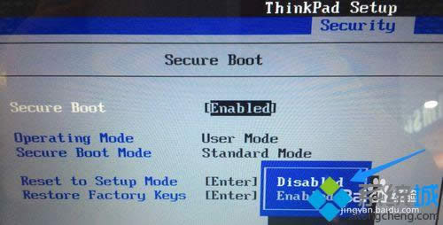 �c���_��