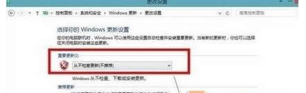 �c���_��