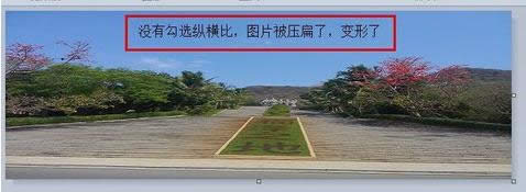 ��׃�DƬ��С