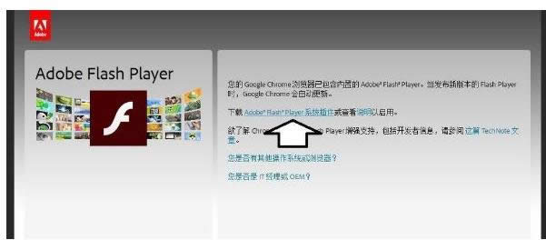 �l(f��)���e(cu��)�`