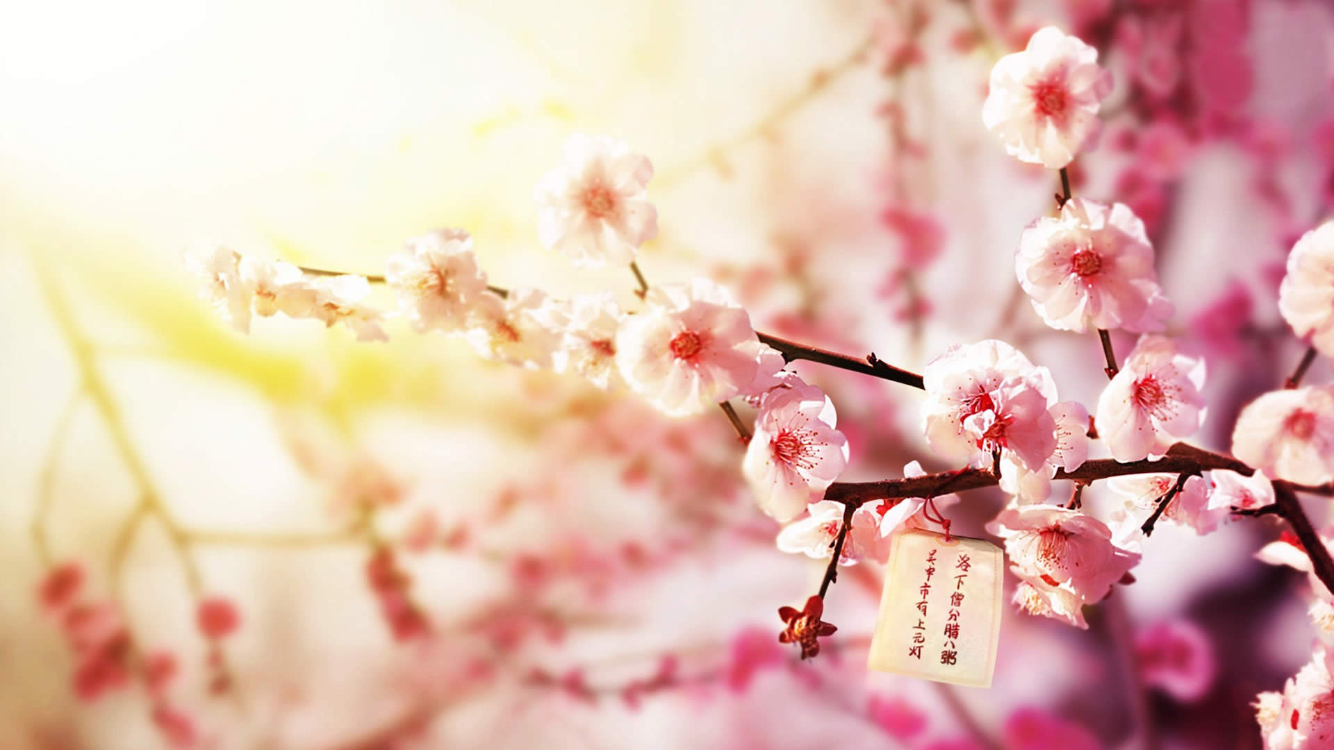 windows7����ڼ�