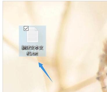 ��X�M����