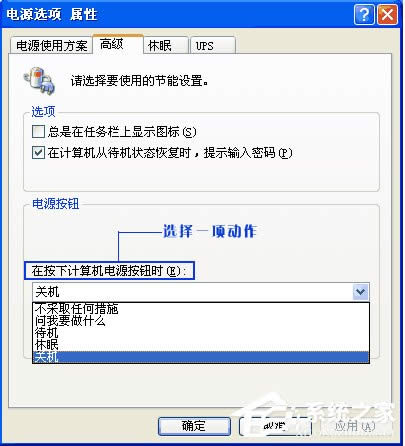 ����׌ XPϵ�y�����P�C