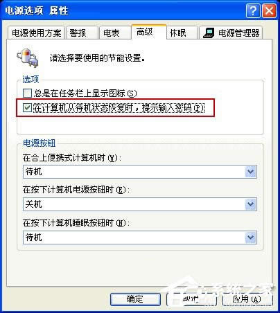 ����׌ XPϵ�y�����P�C