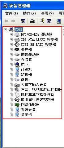 ���_���O���������