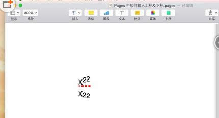 ��X��Pages���ó��������O�÷�����B